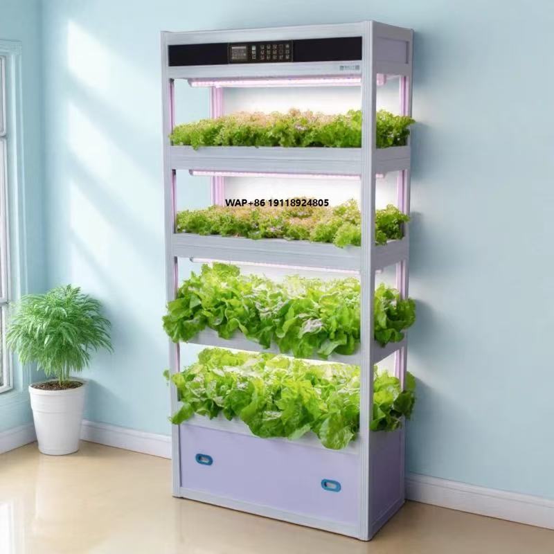 Hydroponic System - Indoor Intelligent Soilless Cultivation Hydroponic Vegetable