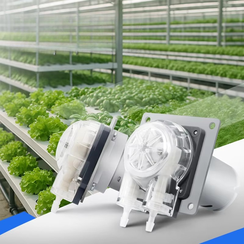 Hydroponic System - Low Noise 12V 24v Dc Motor