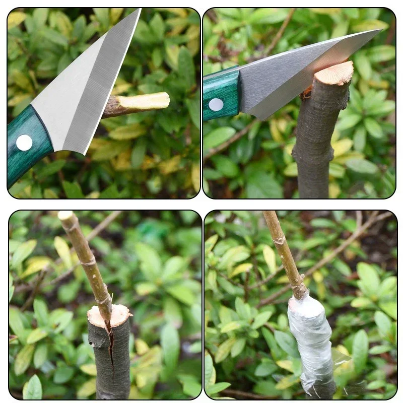 Harvest Knife Garden - Stainless Steel Grafting Knife With Sheath