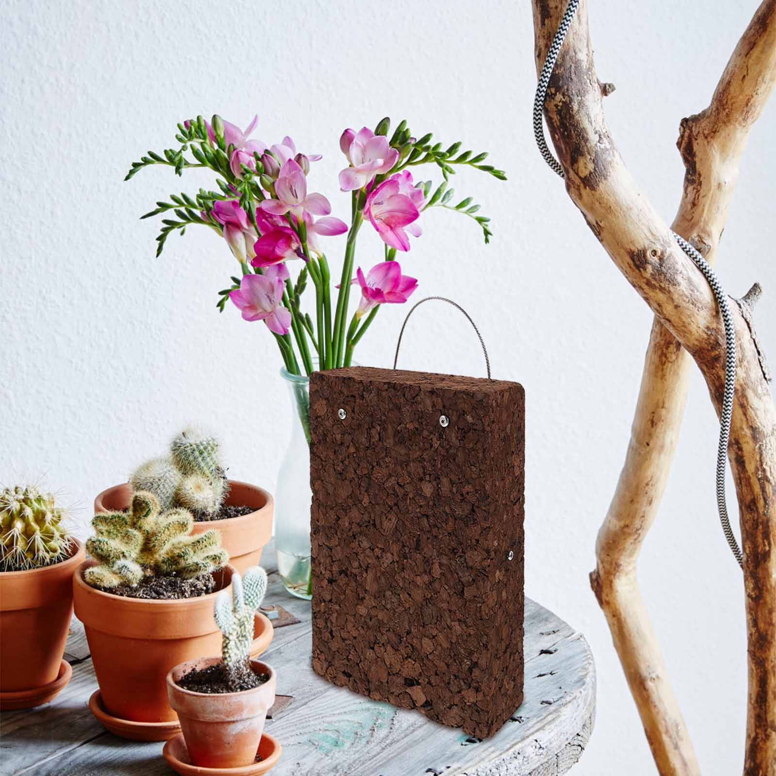 Vertical Wall Planter - Rustic Fern Mounting Board Carbonized Cork