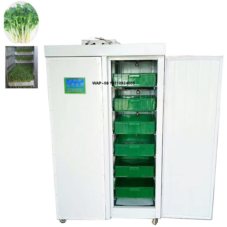Hydroponic System - Indoor Hydroponic Bean Garlic Growing Systems
