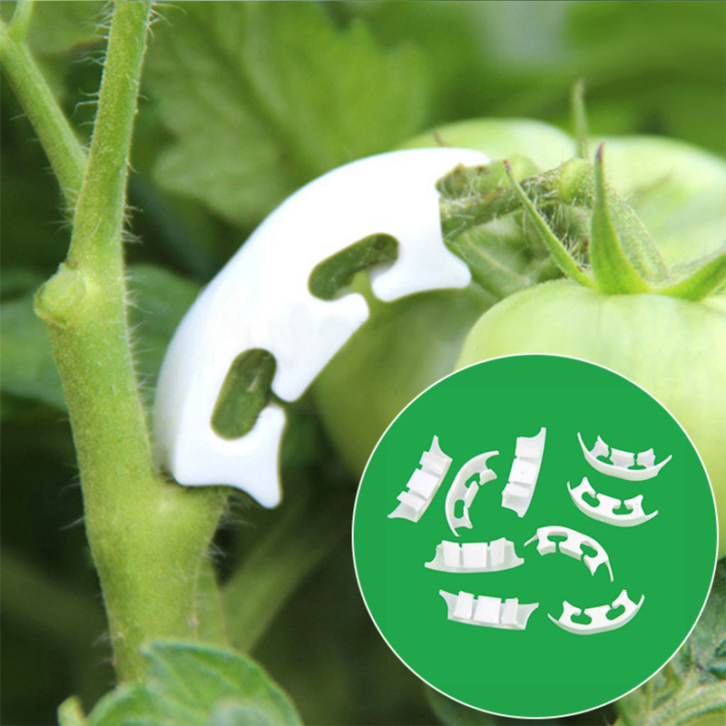 Gardening Tools Hoe - 50/100pcs Botany-stem Vine Strapping Clips Garden