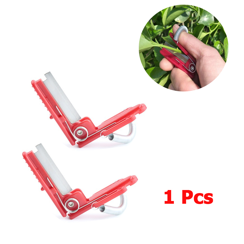 Vegetable Thump Knife Separato - Harvest Knife Garden ulasan dan harga