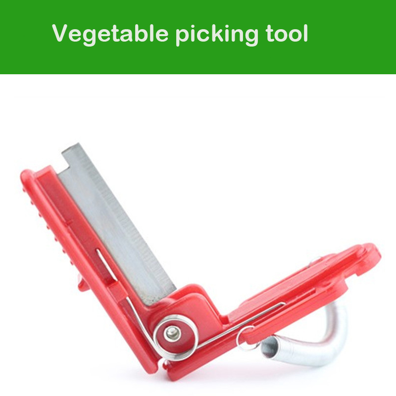 Vegetable Thump Knife Separato - Harvest Knife Garden ulasan dan harga