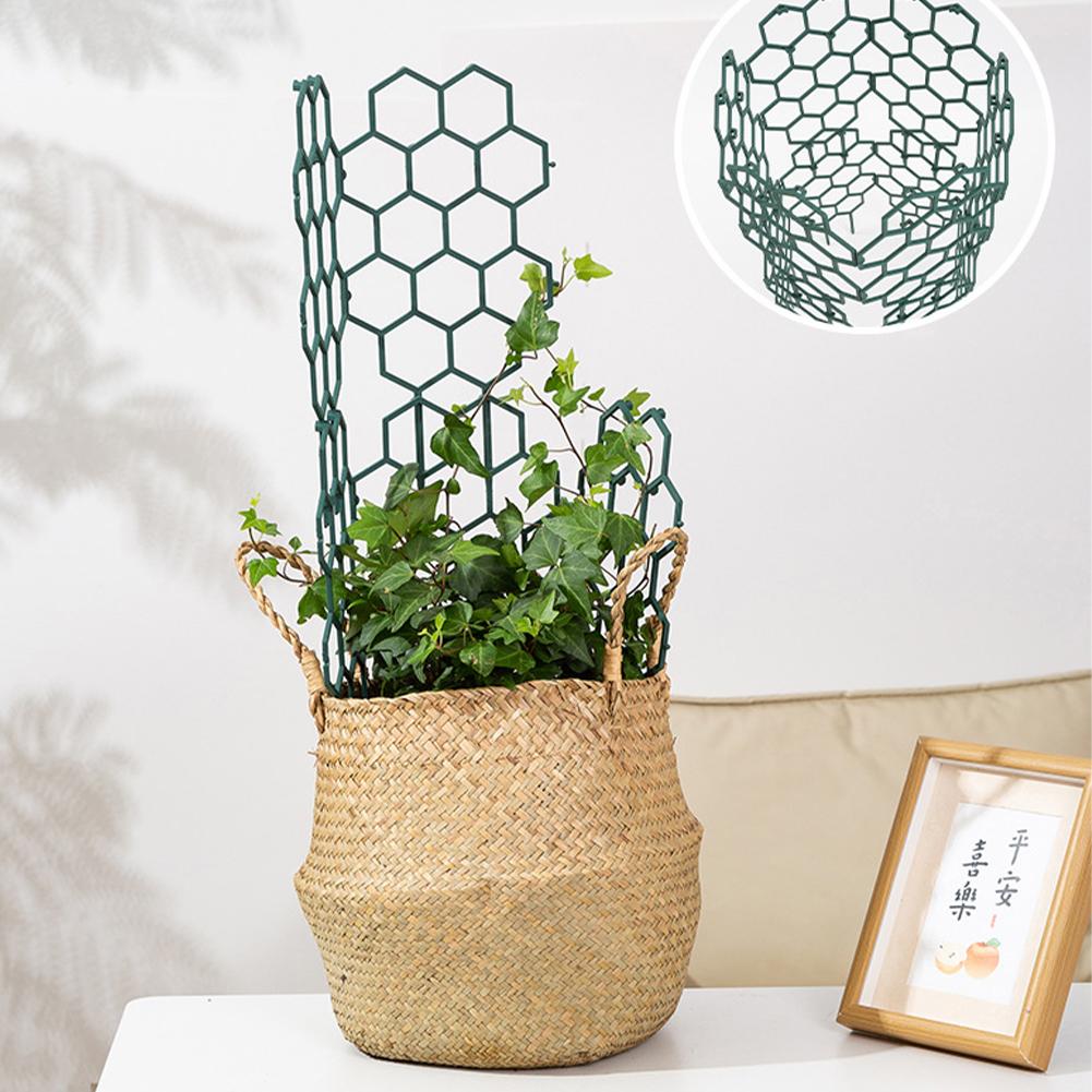 1/2/5Pcs Plastic Plant Support - Gardening Tools Usa ulasan dan harga