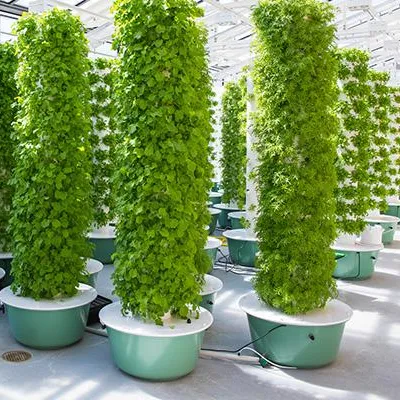 Aeroponics Towers Garden Syste - Hydroponic System ulasan dan harga