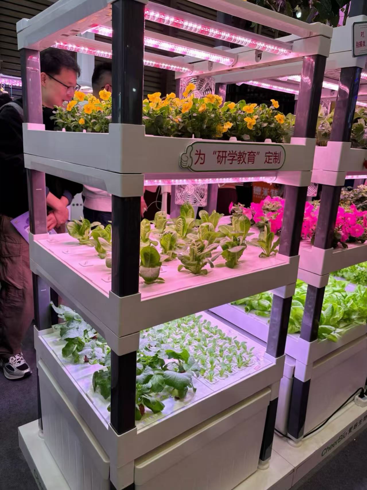 New Automatic Home Use Vertica - Hydroponic System ulasan dan harga