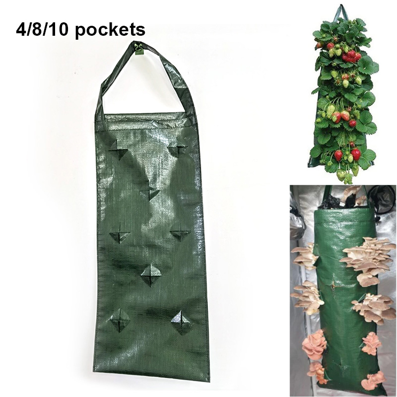 4 8 10 pockets wall hanging ve - Vertical Wall Planter ulasan dan harga