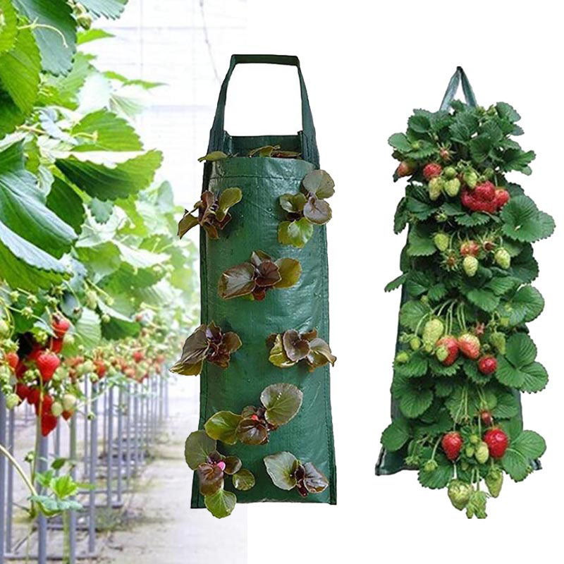 4 8 10 pockets wall hanging ve - Vertical Wall Planter ulasan dan harga