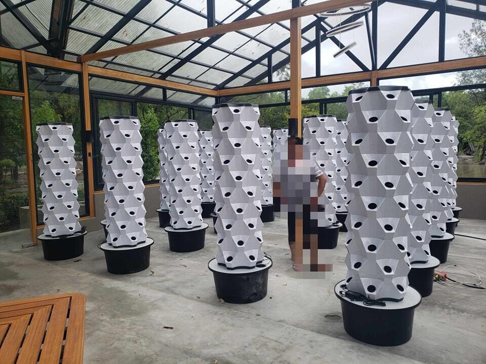Greenhouse Vertical Farming Hy - Hydroponic System ulasan dan harga