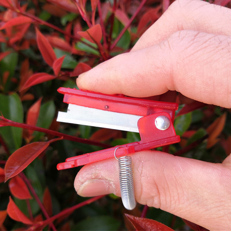 1/2/3pcs Vegetable Thump Knife - Harvest Knife Garden ulasan dan harga