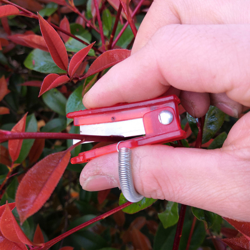 1/2/3pcs Vegetable Thump Knife - Harvest Knife Garden ulasan dan harga
