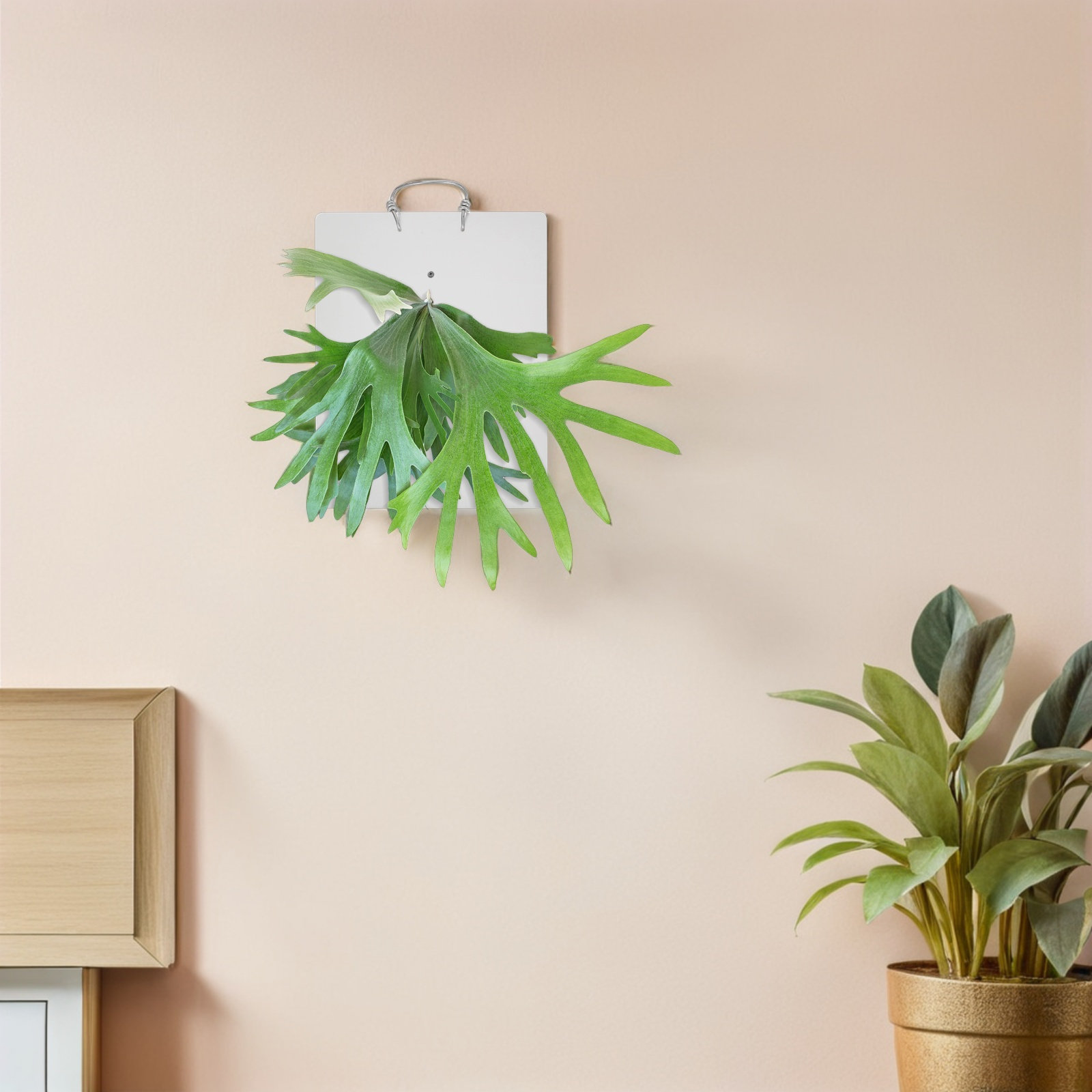 Acrylic Fern Mounting Board 9. - Vertical Wall Planter ulasan dan harga