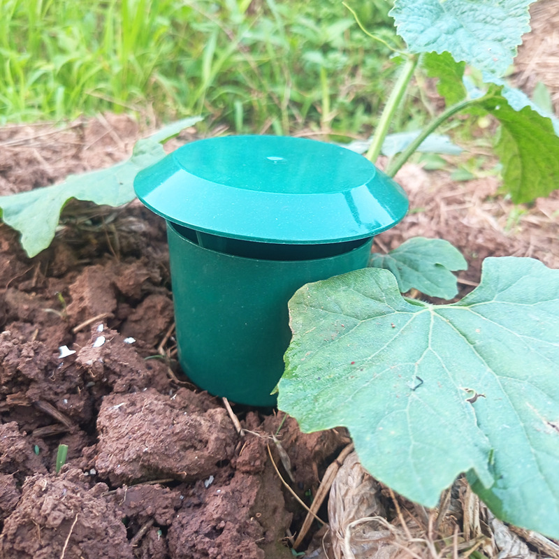 10/1PCS Snail Traps Catcher Ga - Gardening Tools Toolstation ulasan dan harga