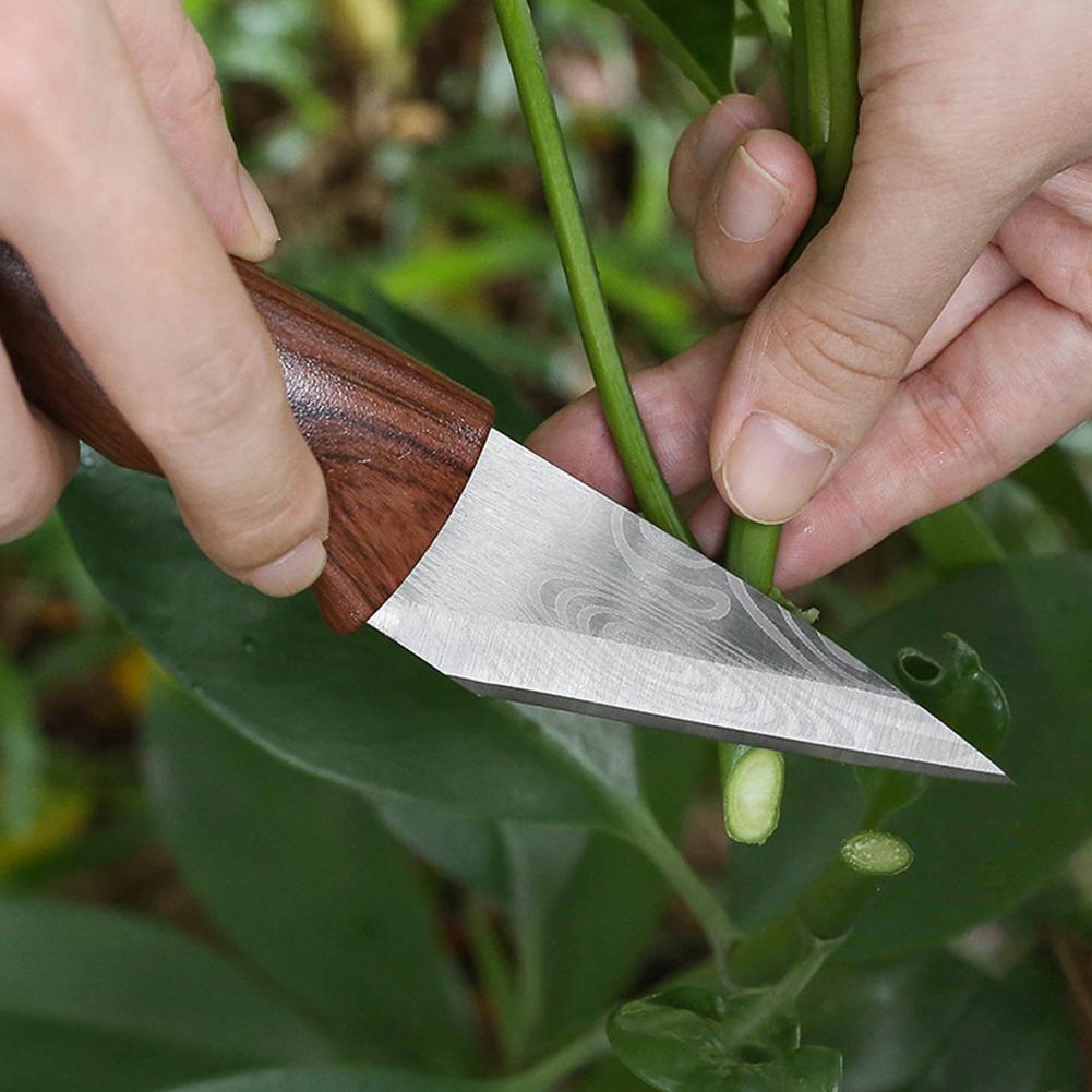Grafting Knife Grafting Tools  - Harvest Knife Garden ulasan dan harga
