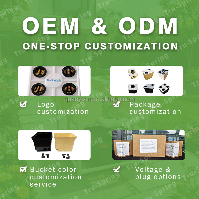 Dutch Bucket Hydroponic System - Hydroponic System ulasan dan harga