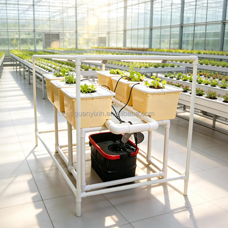 Dutch Bucket Hydroponic System - Hydroponic System ulasan dan harga