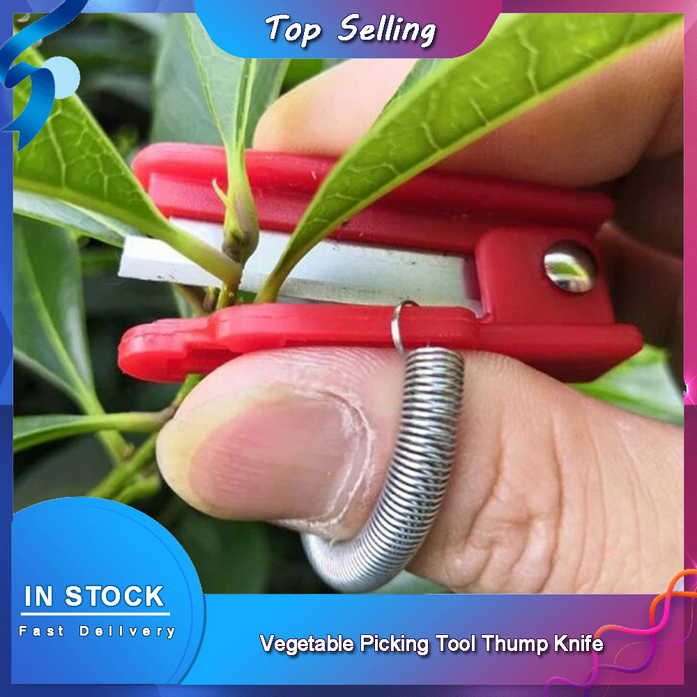 Vegetable Picking Tool Thump K - Harvest Knife Garden ulasan dan harga