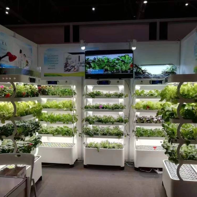 Intelligent Hydroponic Growing - Hydroponic System ulasan dan harga