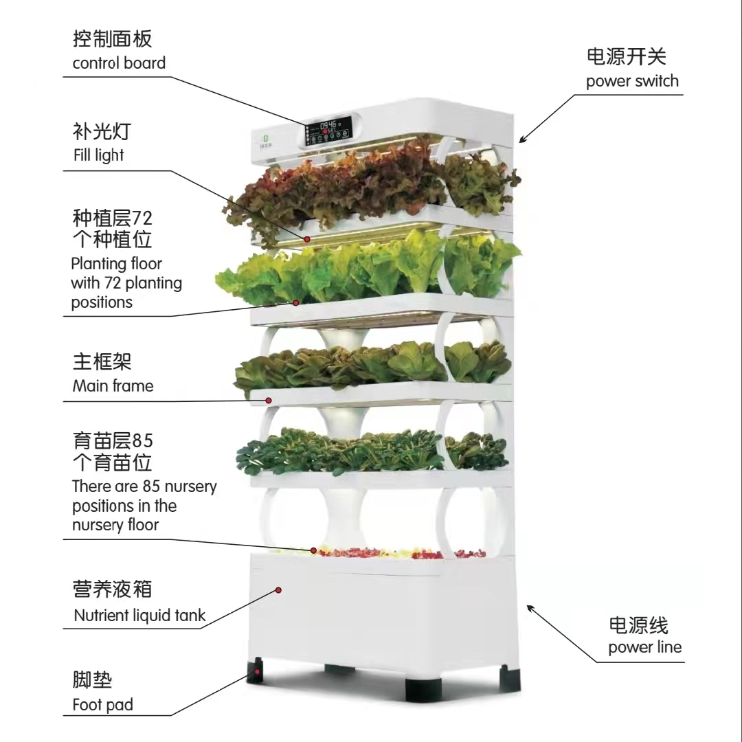 Intelligent Hydroponic Growing - Hydroponic System ulasan dan harga
