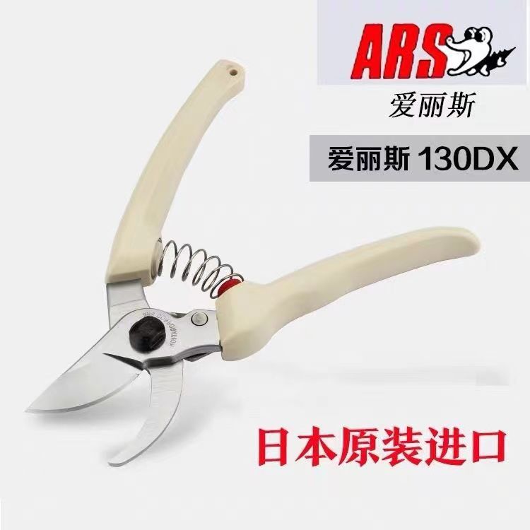 Pruning scissors, garden tools - Gardening Tools In Japan ulasan dan harga