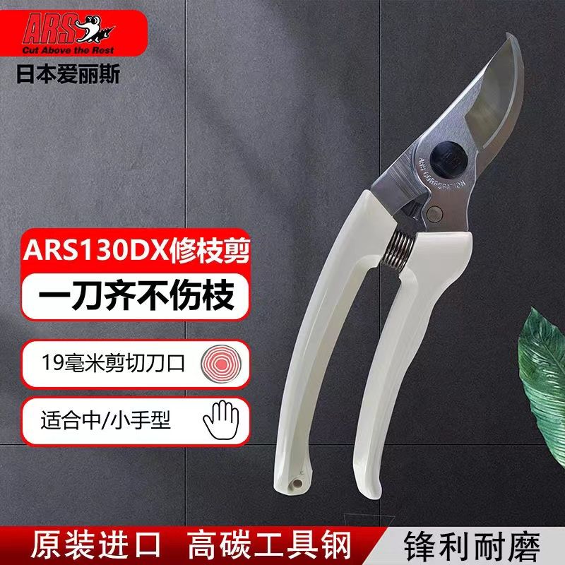 Pruning scissors, garden tools - Gardening Tools In Japan ulasan dan harga