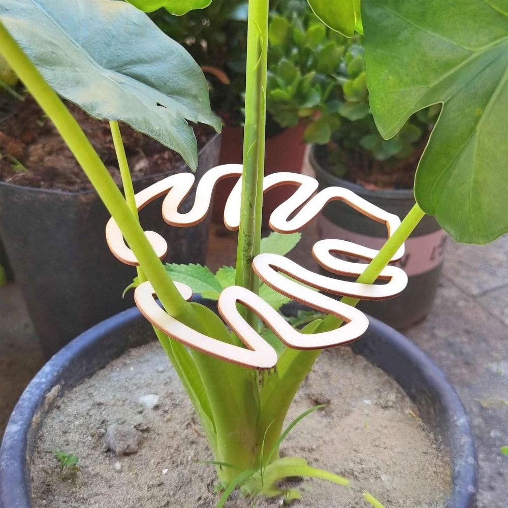 1/2PCS Reusable Turtle Shell B - Gardening Tools Hoe ulasan dan harga