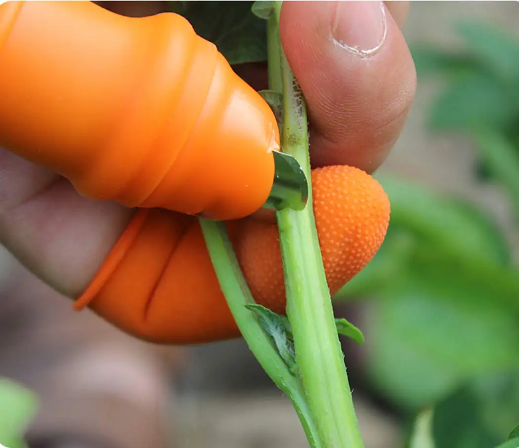 Gardening Silicone Thumb Knife - Harvest Knife Garden ulasan dan harga