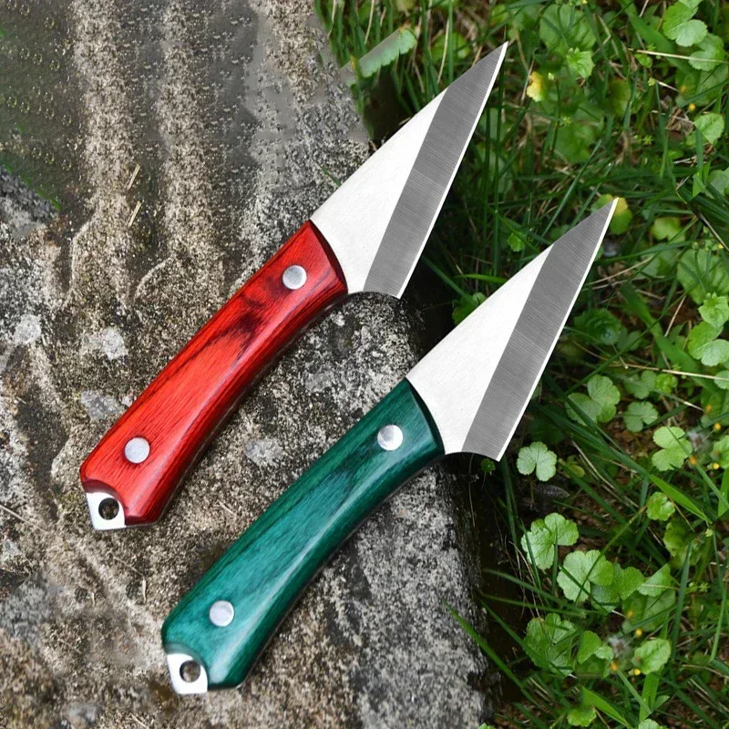 Stainless Steel Grafting Knife - Harvest Knife Garden ulasan dan harga