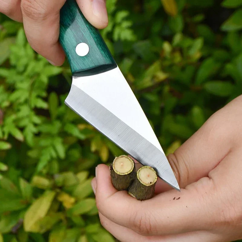 Stainless Steel Grafting Knife - Harvest Knife Garden ulasan dan harga