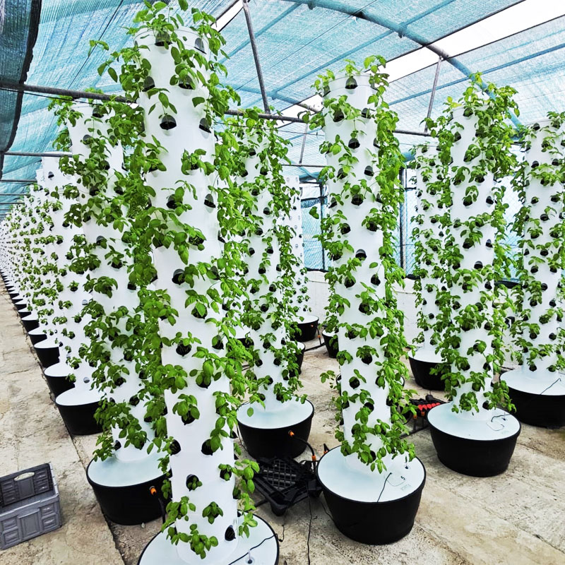 High Quality Easy Install Smal - Hydroponic System ulasan dan harga