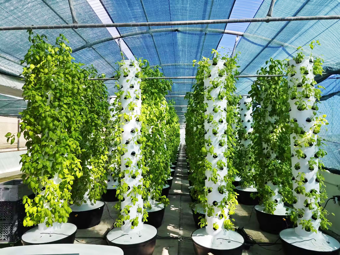 High Quality Easy Install Smal - Hydroponic System ulasan dan harga