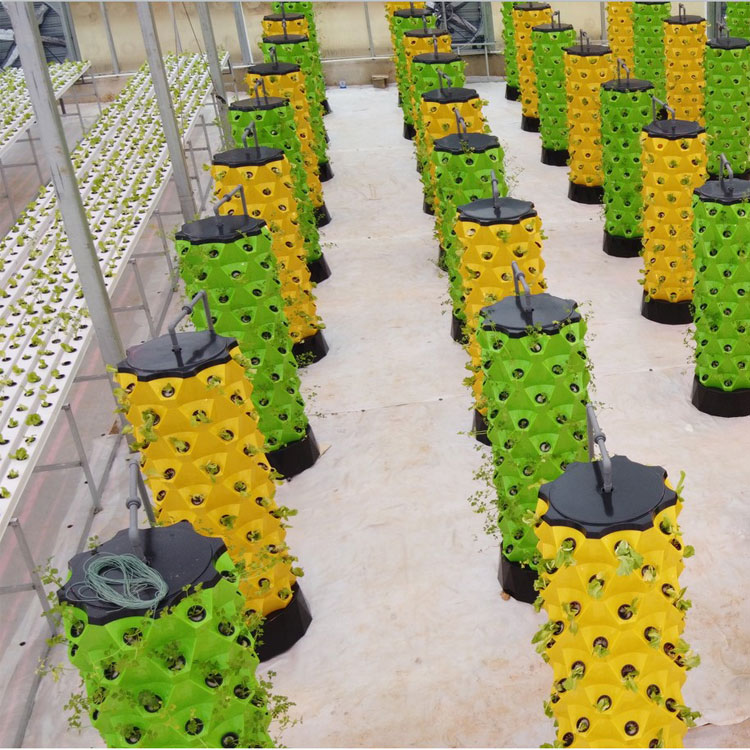 High Quality Easy Install Smal - Hydroponic System ulasan dan harga