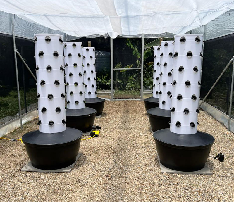 High Quality Easy Install Smal - Hydroponic System ulasan dan harga