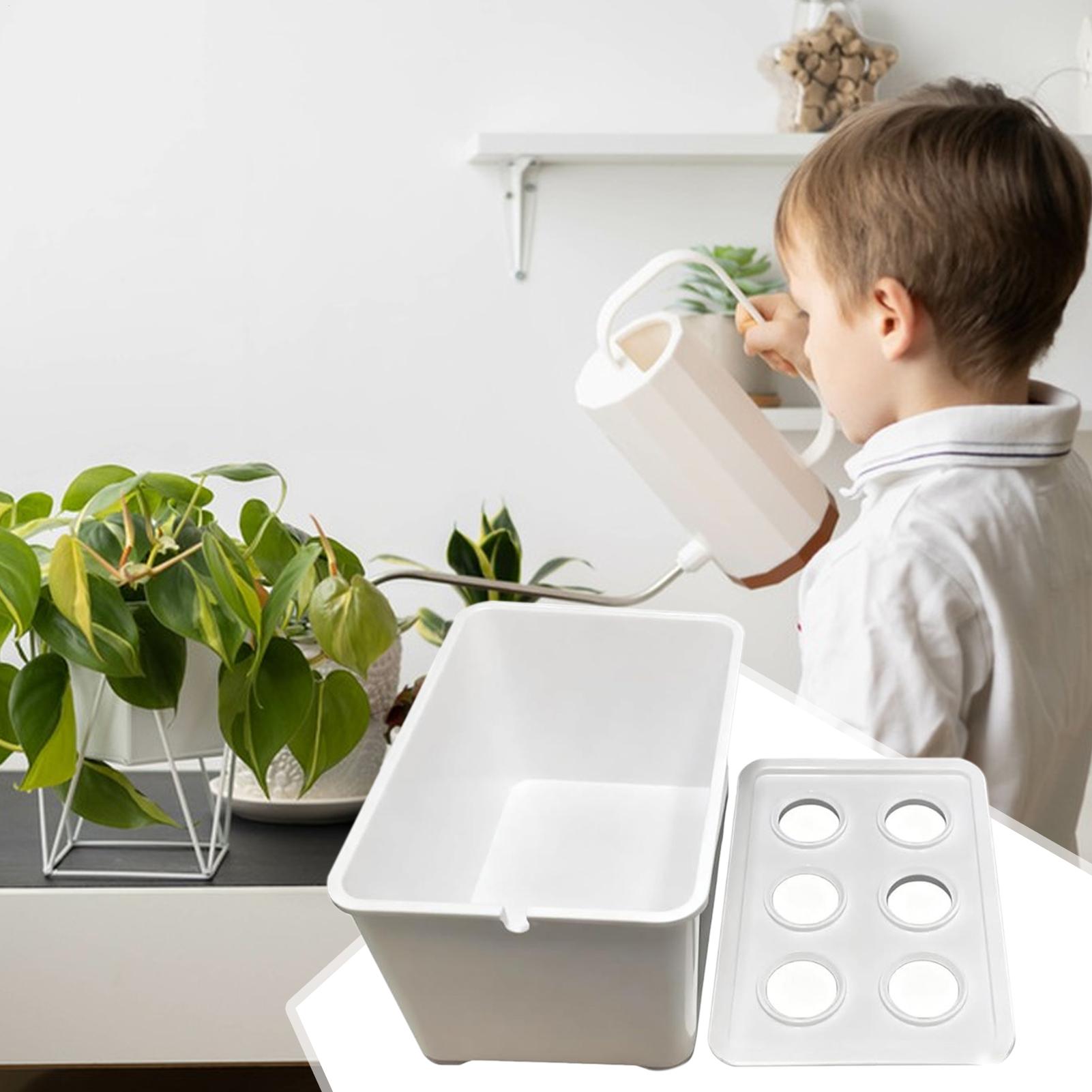 Hydroponic Planting Kit Beginn - Hydroponic System ulasan dan harga