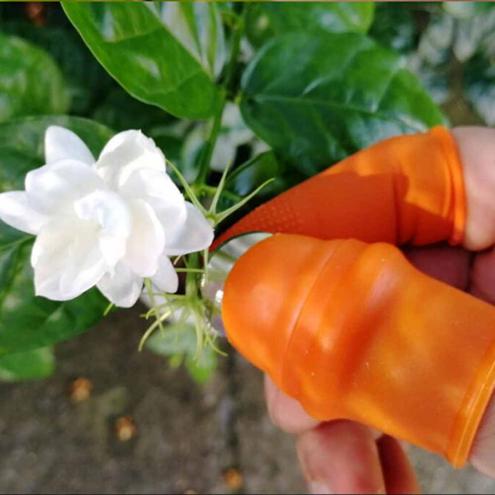 Garden Silicone Thumb Knife Wi - Harvest Knife Garden ulasan dan harga