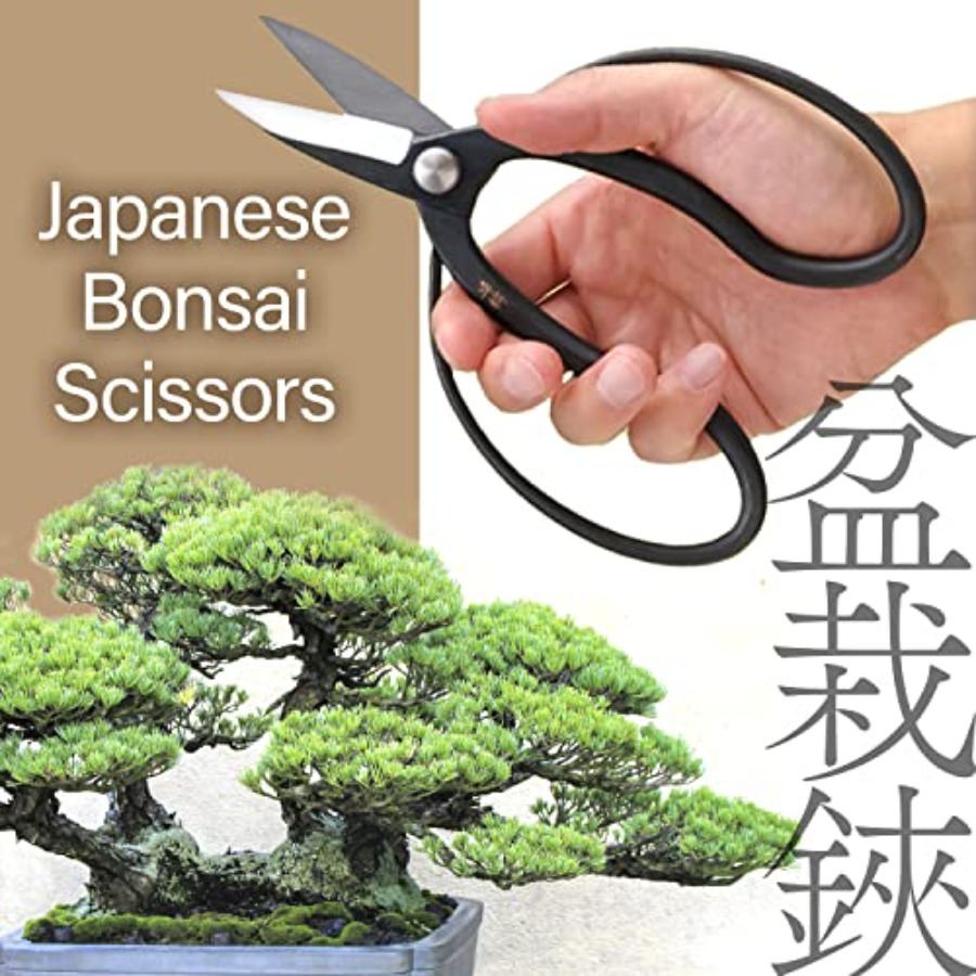 Japanese Suiryu Bonsai Scissor - Gardening Tools In Japan ulasan dan harga