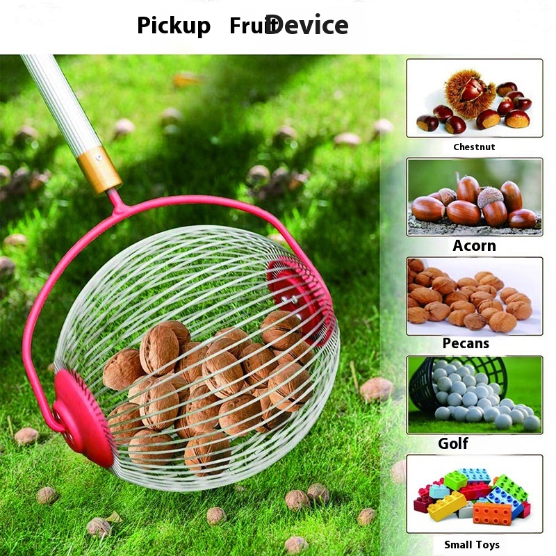 Drum Type Nut Collector, Rolli - Gardening Tools Types ulasan dan harga