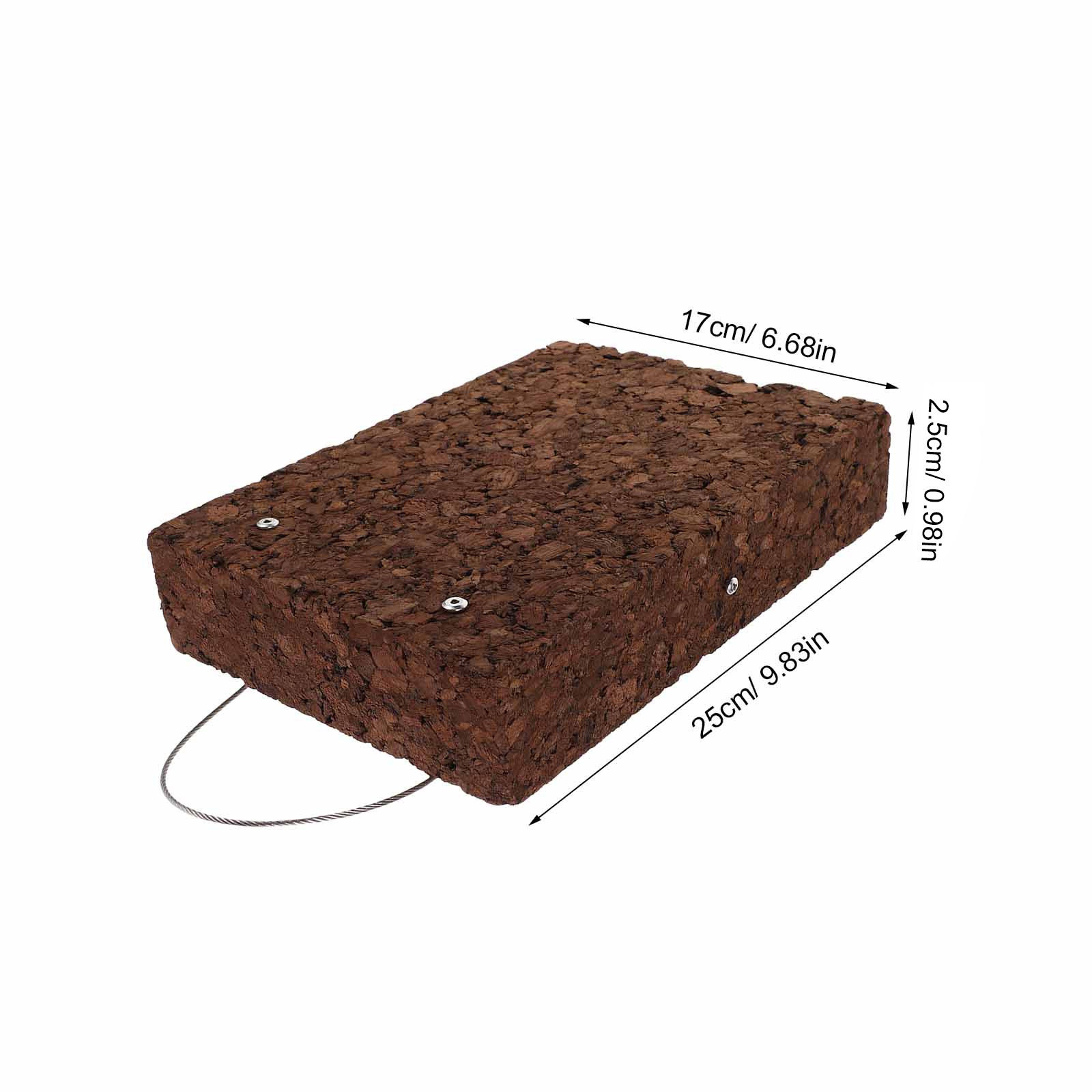 Rustic Fern Mounting Board Car - Vertical Wall Planter ulasan dan harga