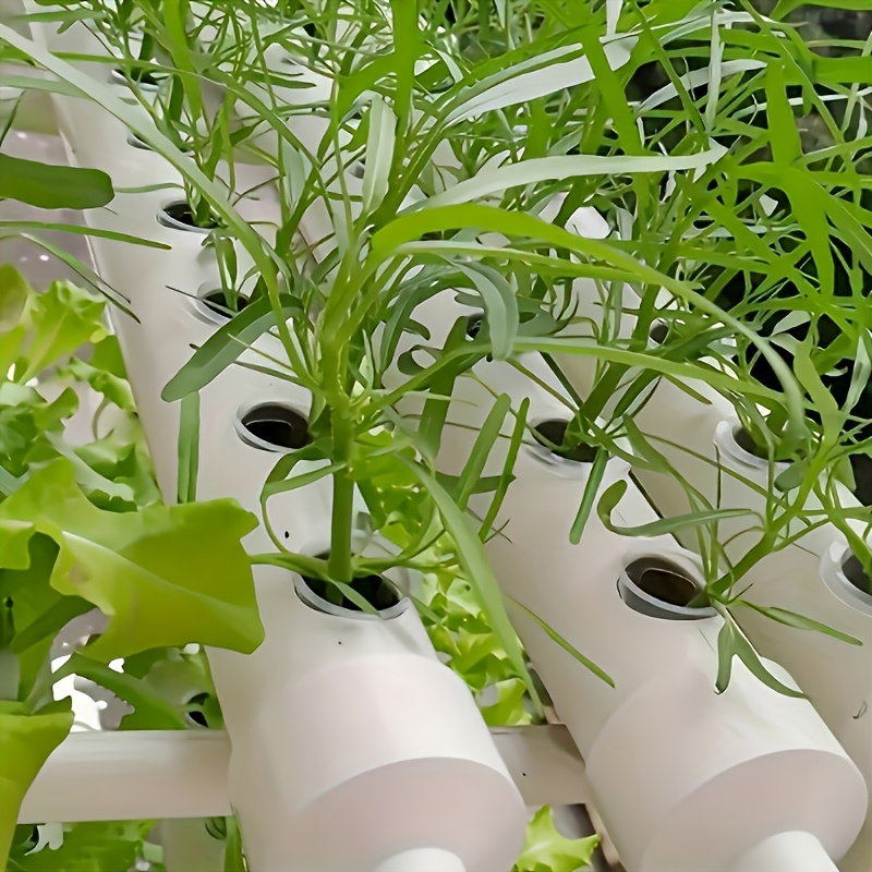 10Pcs Hydroponic Seedling Bask - Hydroponic System ulasan dan harga