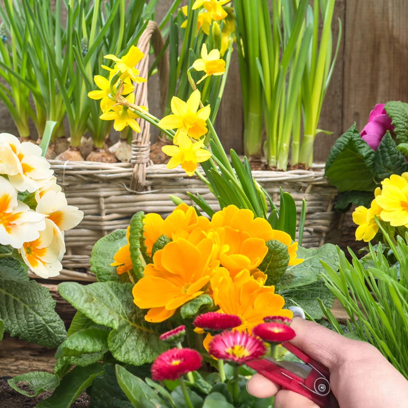 Multifunction Thumb Knife Gard - Harvest Knife Garden ulasan dan harga