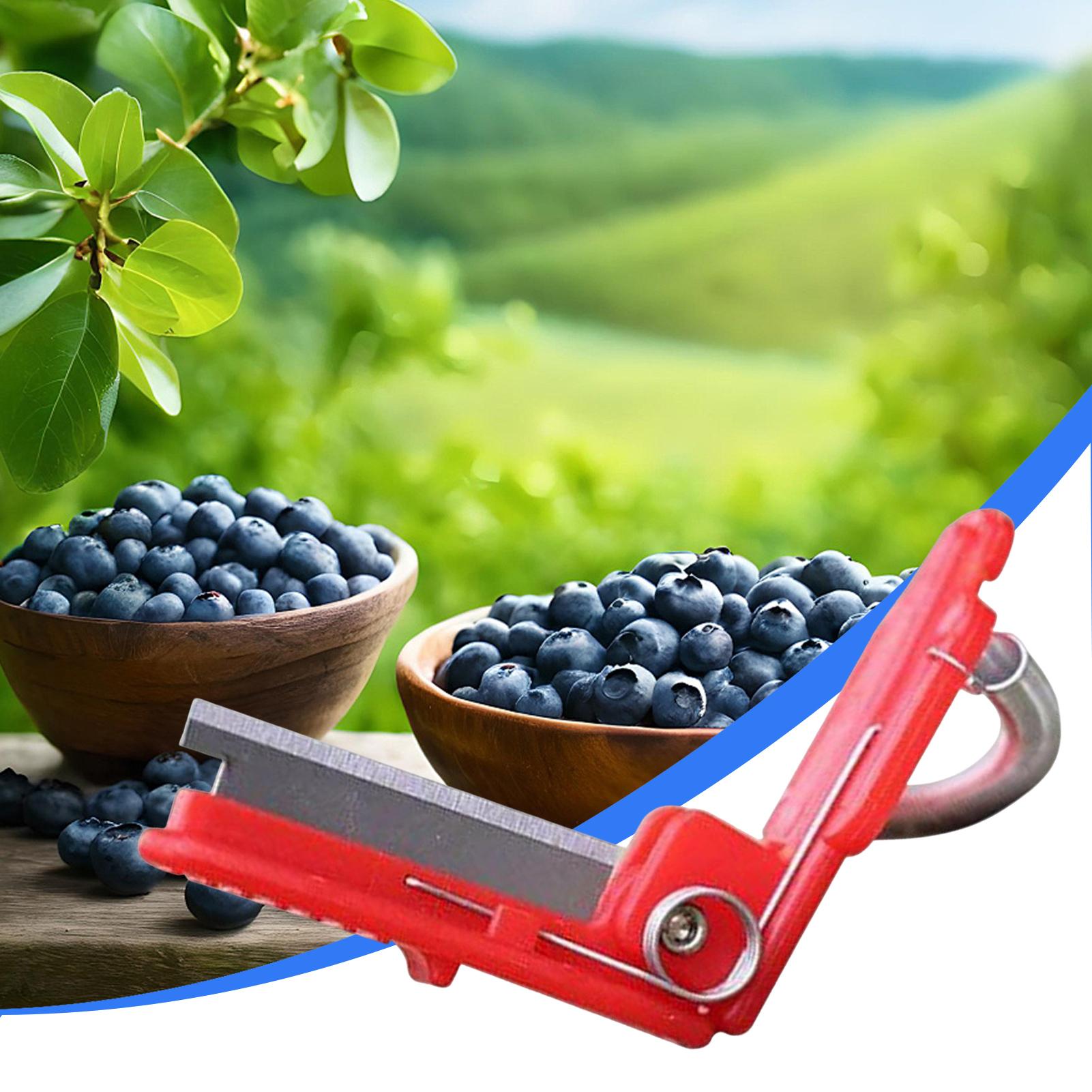 Multifunction Thumb Knife Gard - Harvest Knife Garden ulasan dan harga