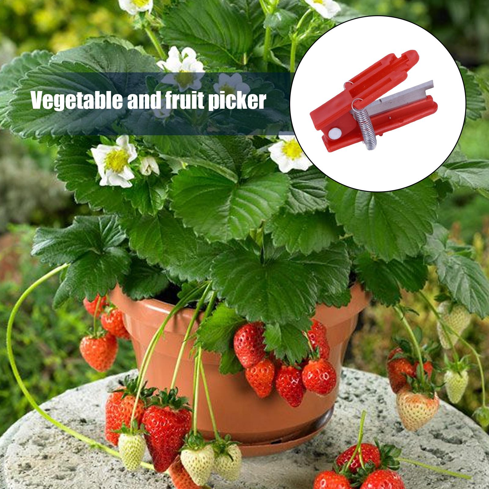 Multifunction Thumb Knife Gard - Harvest Knife Garden ulasan dan harga