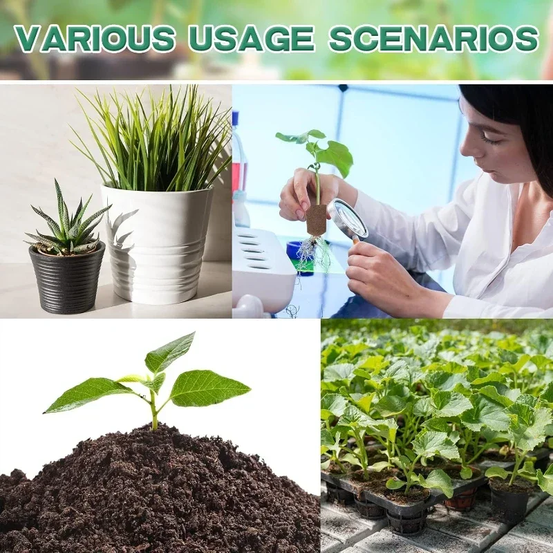 Seedling Starter Sponge Kit fo - Hydroponic System ulasan dan harga