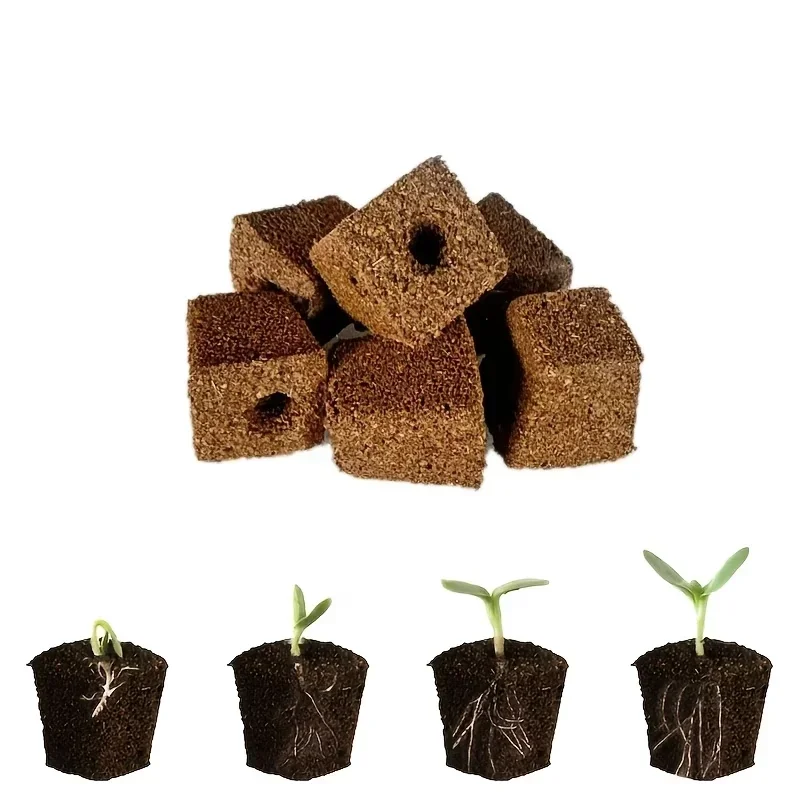 Seedling Starter Sponge Kit fo - Hydroponic System ulasan dan harga