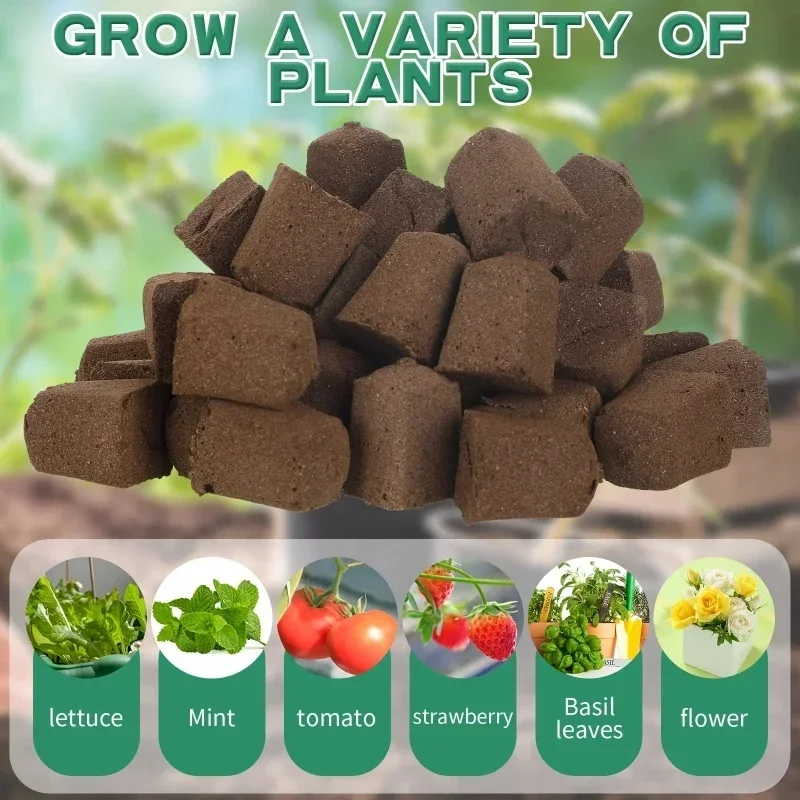 Seedling Starter Sponge Kit fo - Hydroponic System ulasan dan harga