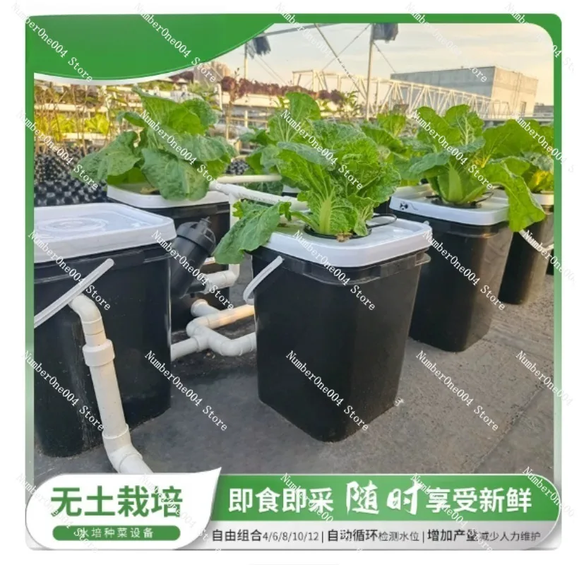 RDWC Home Balcony Hydroponic G - Hydroponic System ulasan dan harga