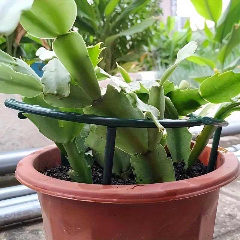 30-1PCS Plastic Plant Support  - Gardening Tools Hoe ulasan dan harga