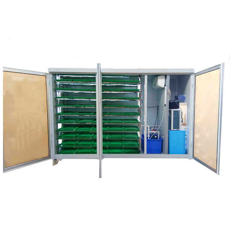 Indoor Hydroponic Bean Garlic  - Hydroponic System ulasan dan harga