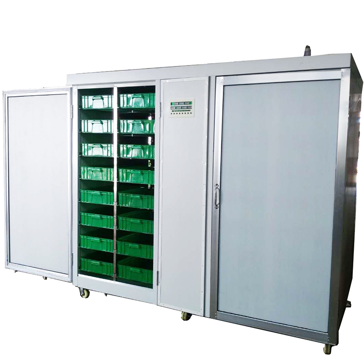 Indoor Hydroponic Bean Garlic  - Hydroponic System ulasan dan harga